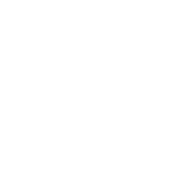 The Property Boutique Logo